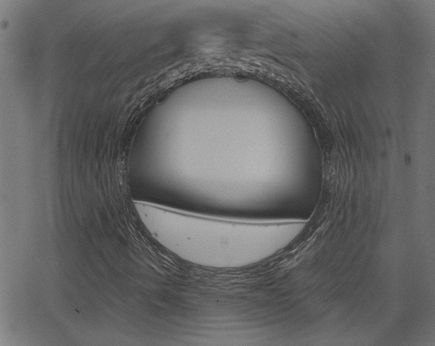 X0000068751490200604280913