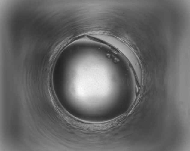 X0000068750001200604281217