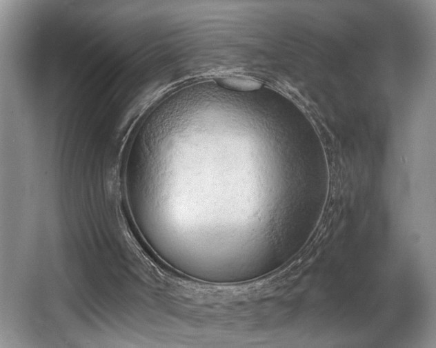 X0000068750002200604281217