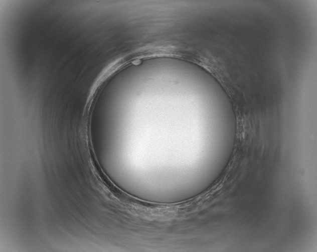 X0000068750004200604281217