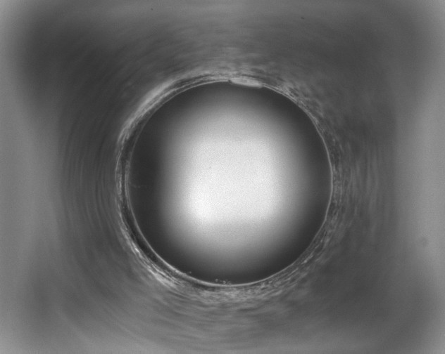X0000068750005200604281217