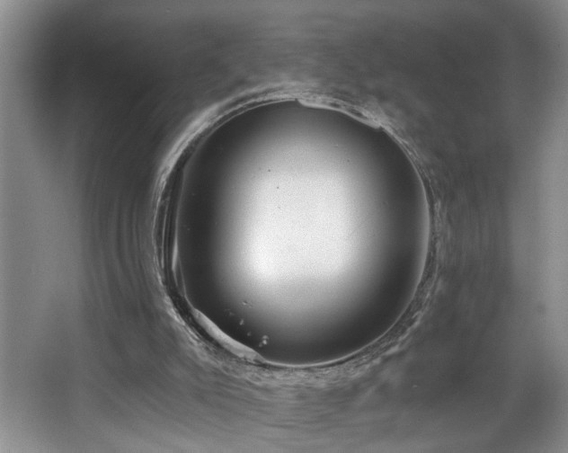 X0000068750007200604281217