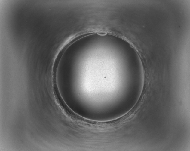 X0000068750008200604281217