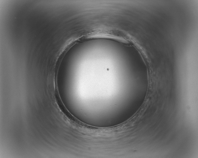 X0000068750011200604281217