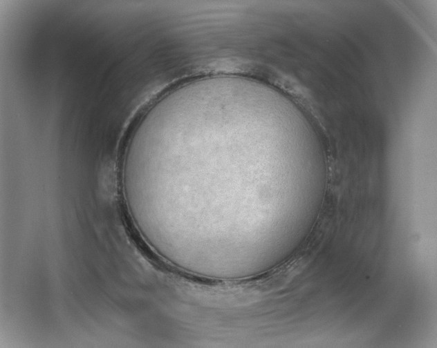 X0000068750012200604281217