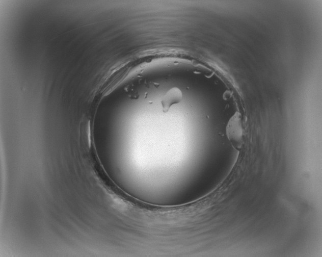 X0000068750013200604281217