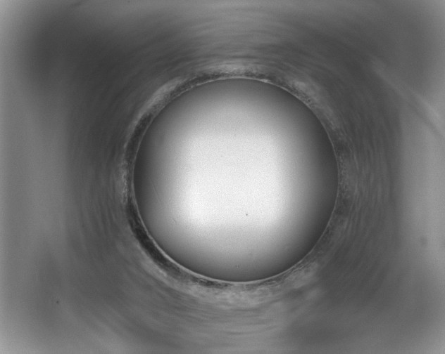 X0000068750016200604281217