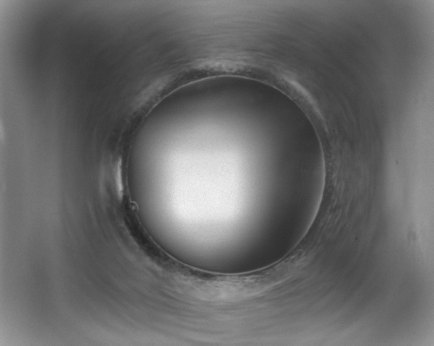 X0000068750020200604281217