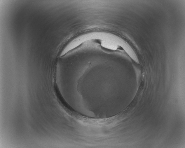X0000068750023200604281217