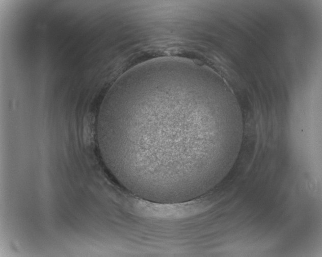 X0000068750030200604281217