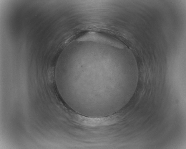 X0000068750034200604281217