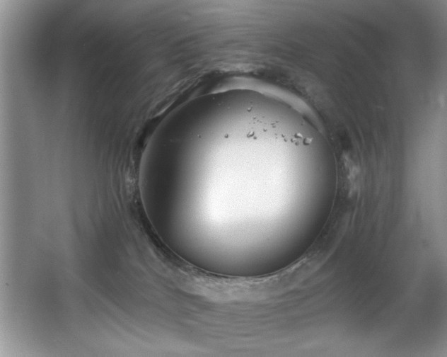 X0000068750040200604281217