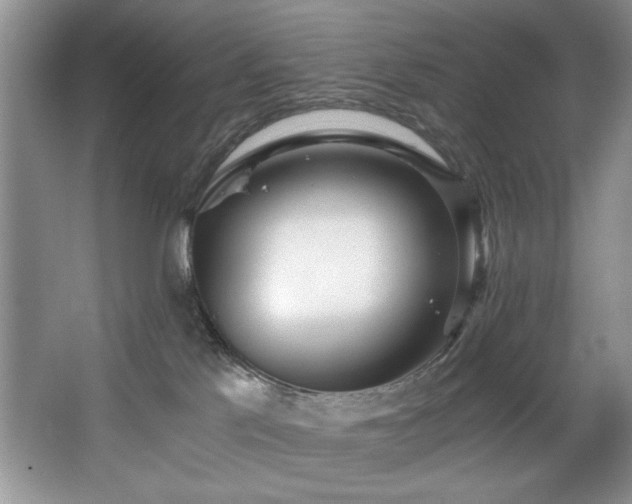 X0000068750041200604281217