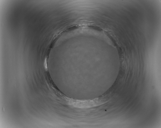 X0000068750042200604281217