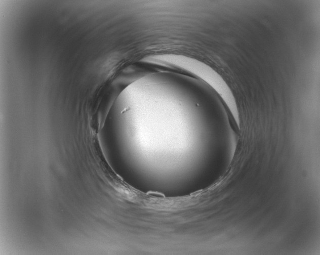 X0000068750045200604281217