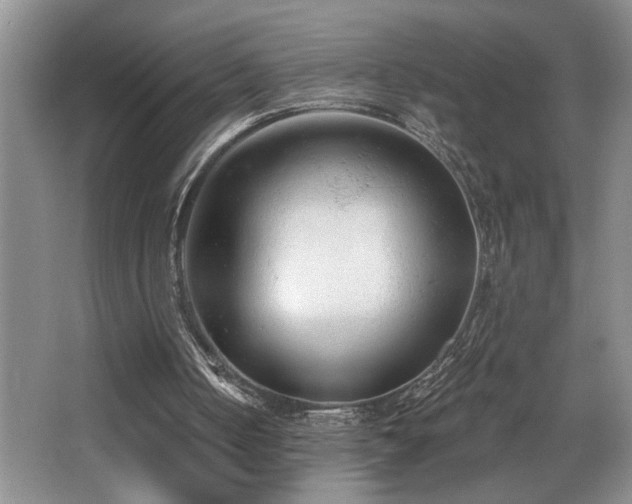 X0000068750050200604281216