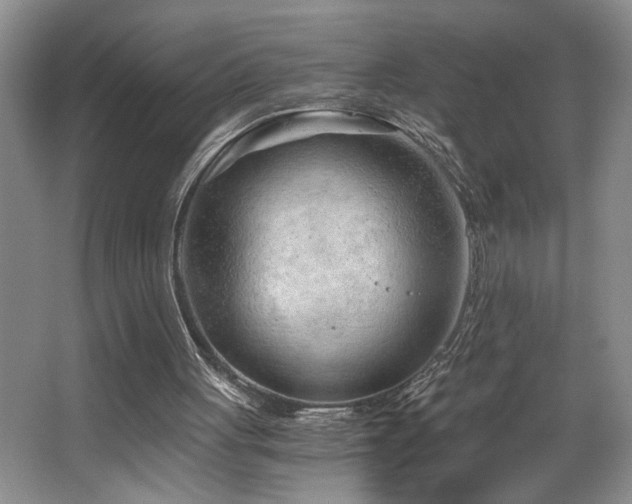 X0000068750051200604281216