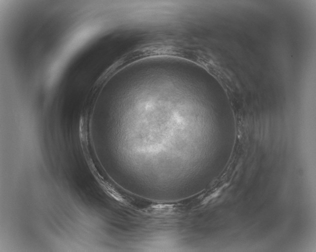 X0000068750052200604281216