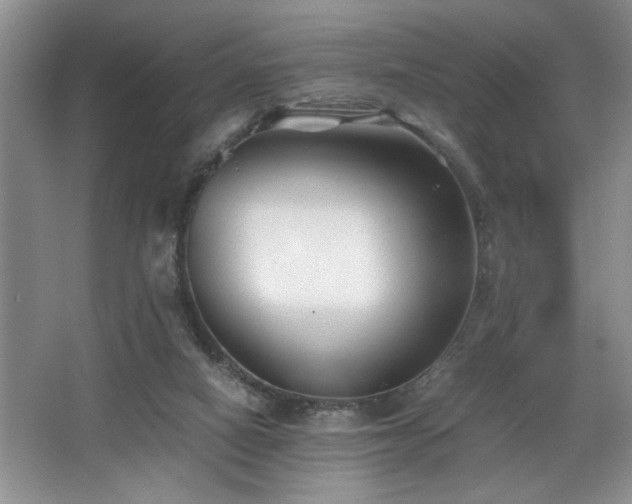 X0000068750066200604281216