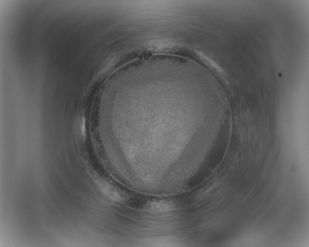 X0000068750067200604281216