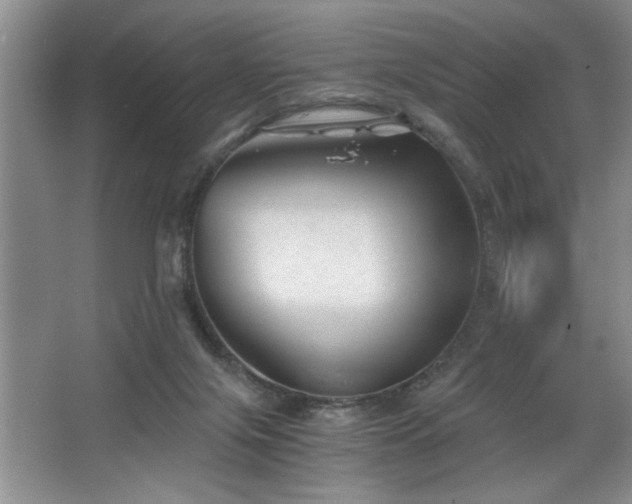 X0000068750071200604281216