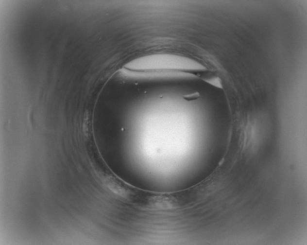 X0000068750073200604281216