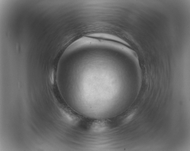 X0000068750076200604281216