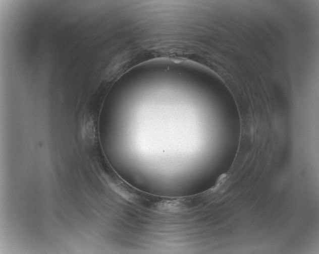 X0000068750086200604281217