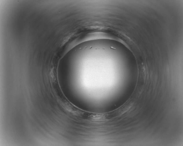 X0000068750088200604281217