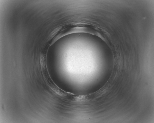 X0000068750092200604281217