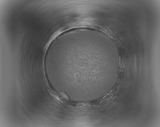 X0000068750099200604281216