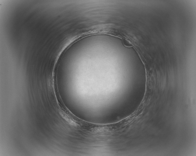 X0000068750100200604281216