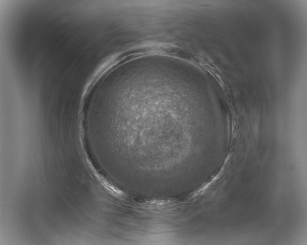 X0000068750101200604281216