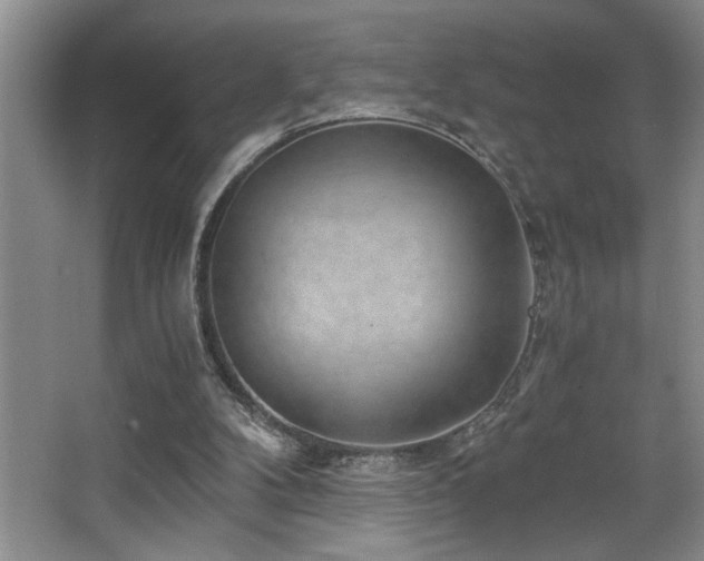 X0000068750104200604281216