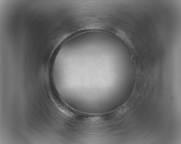 X0000068750108200604281216