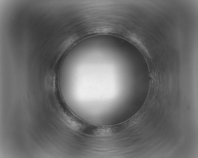 X0000068750110200604281216