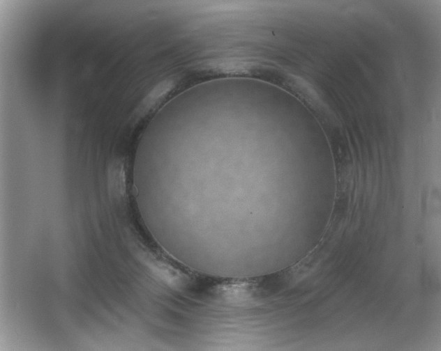 X0000068750120200604281215