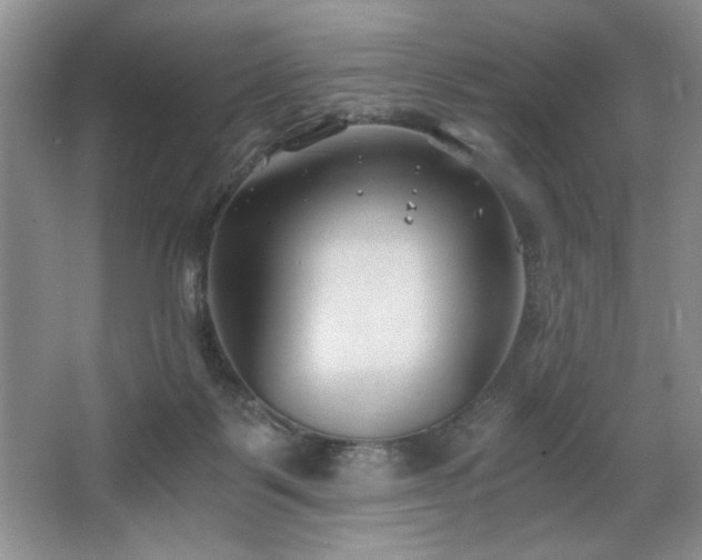 X0000068750123200604281215