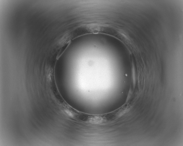 X0000068750125200604281215