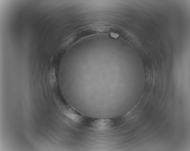 X0000068750128200604281215