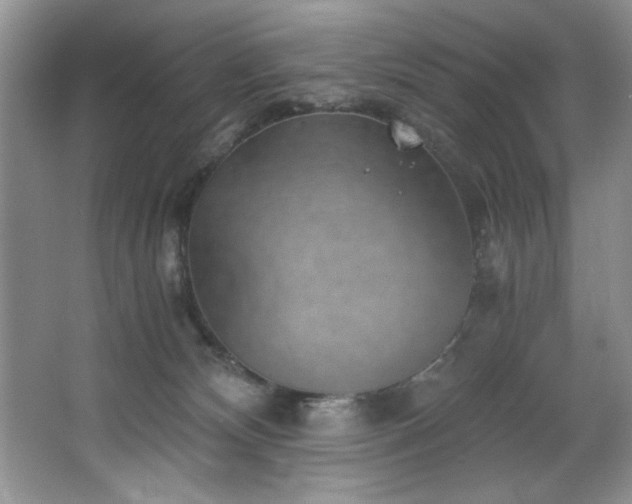 X0000068750132200604281215