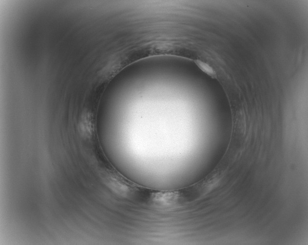 X0000068750135200604281215