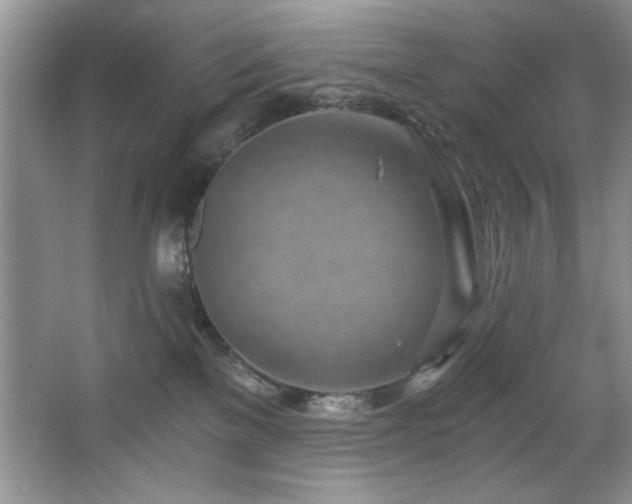 X0000068750137200604281215