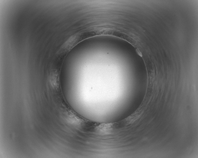 X0000068750138200604281215