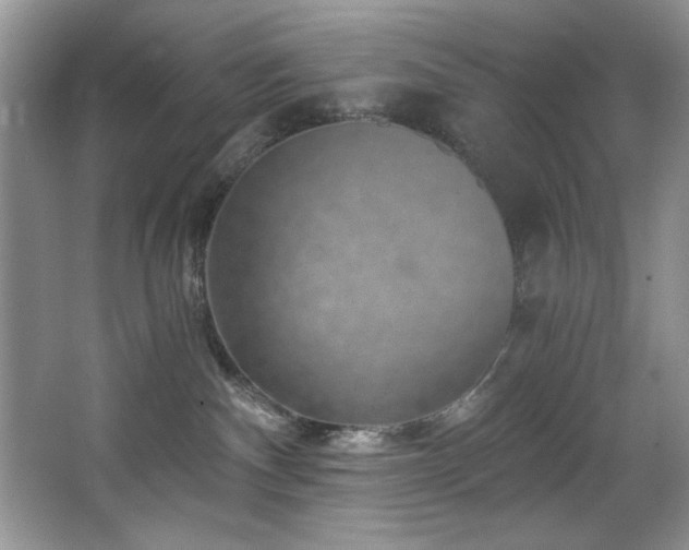 X0000068750140200604281215
