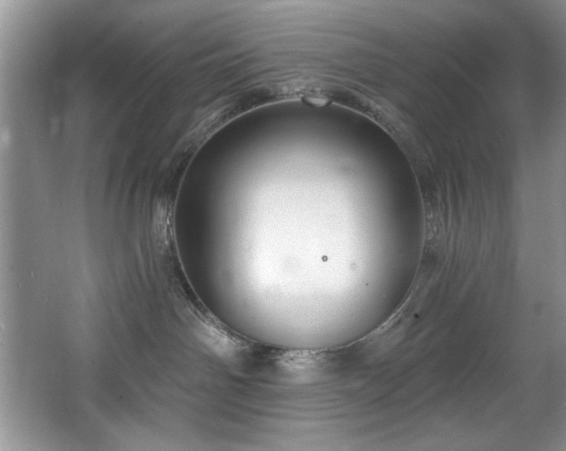 X0000068750142200604281215