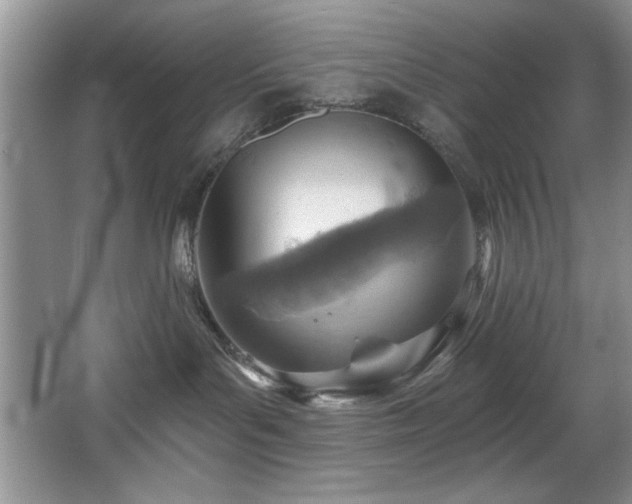 X0000068750143200604281215