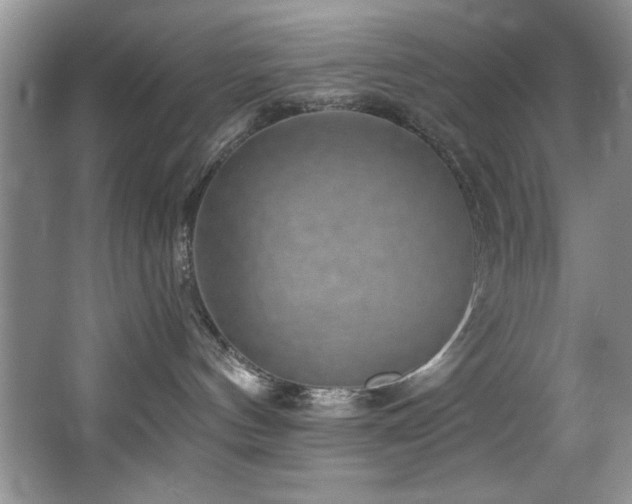X0000068750144200604281215