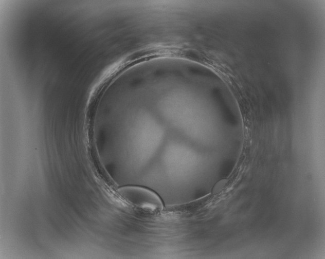 X0000068750149200604281214