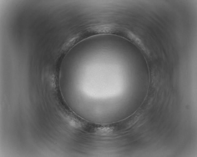 X0000068750161200604281215